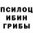 Псилоцибиновые грибы Psilocybe Evgenii Gony