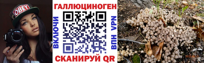 KRAKEN ССЫЛКА  купить закладку  Дорогобуж  Галлюциногенные грибы Psilocybe 